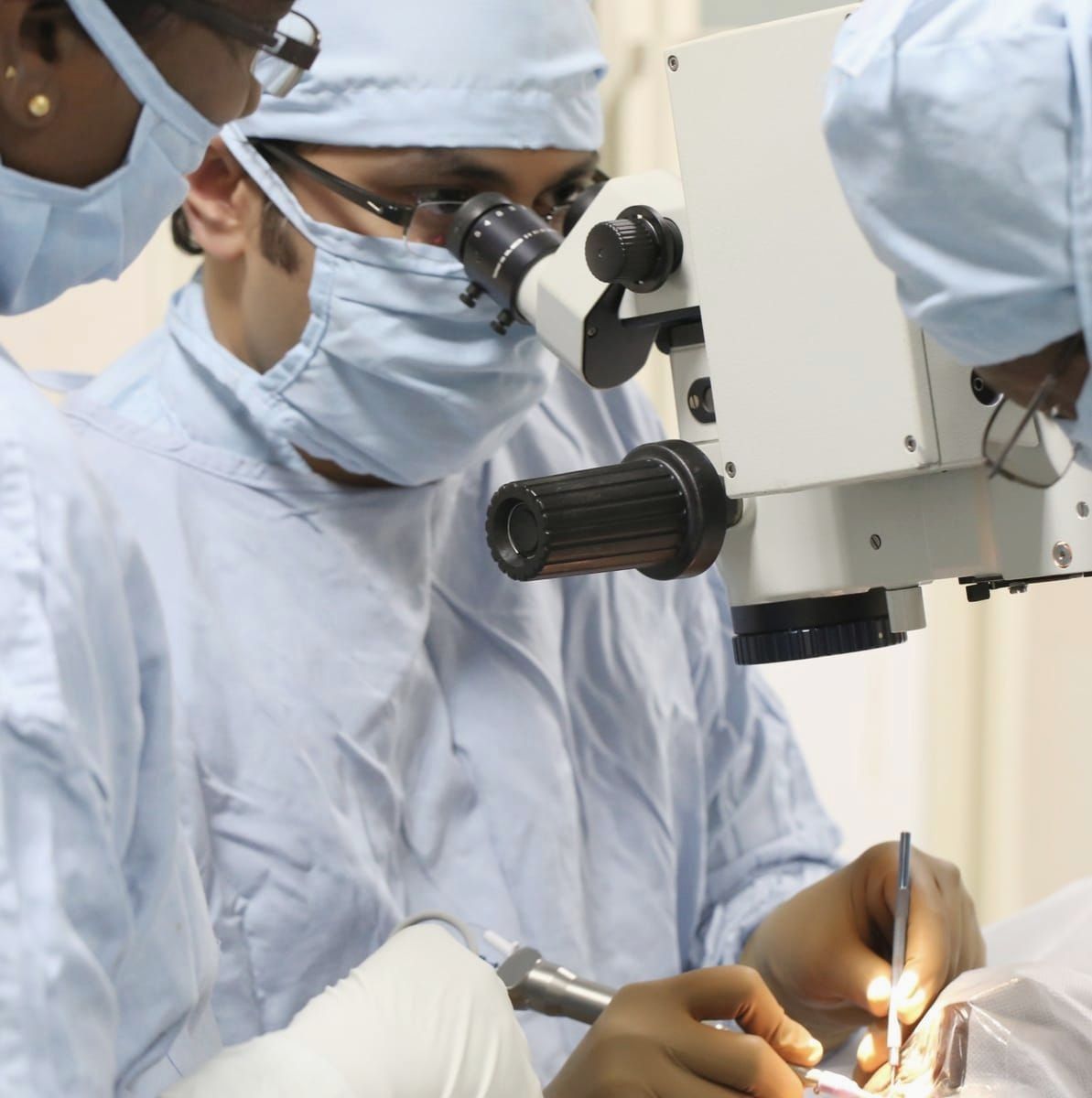 Dr. H. Siva Mohan Reddy operating at the microscope